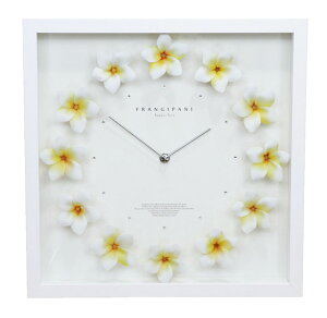 掛け時計 ハワイアン 時計 通販 価格比較 価格 Com