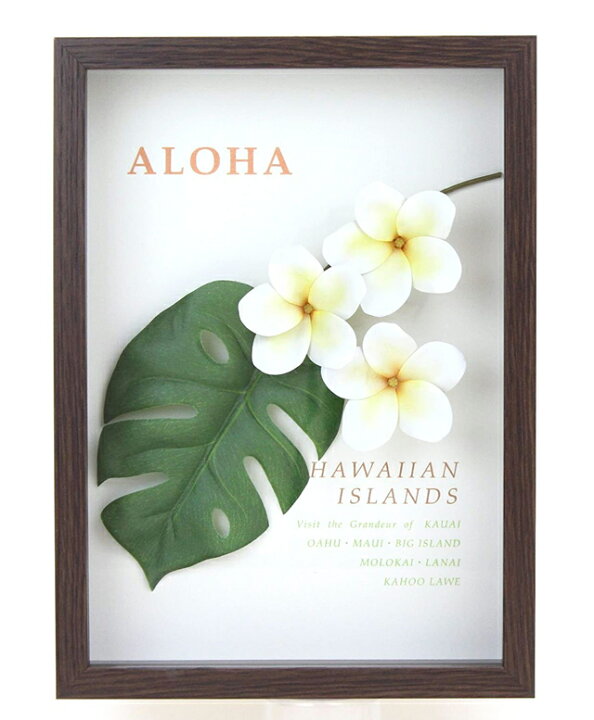 楽天市場】ハワイアン 雑貨 インテリア 家具 ハワイアン雑貨 ALOHA 