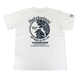 半袖 Tシャツ メンズ フララニ Hulalani Hawaii 新作 ハワイ ハワイアン サーフブランド (メンズ/ホワイト) ハワイアン雑貨 242HU1ST027 おしゃれ サーフ ハワイ