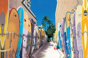 nCAG CeA nCA G IR` LoX plG (T[t{[h) nCAG nC yY nCA PUW-1601