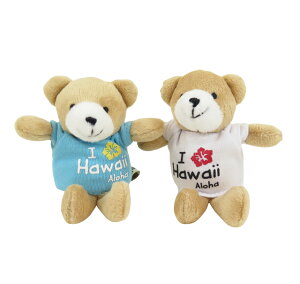 nCAG L[z_[ G L[`F[ TVc xA[ nCA N} ʂ IIxAL[z_[   nC Mtg