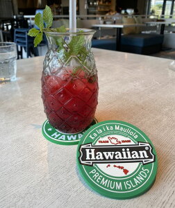 nCAG CeA nCA G HID o[R[X^[ nCA(HAWAIIAN) R[X^[ [֑Ή nCAG nC yY nCA 