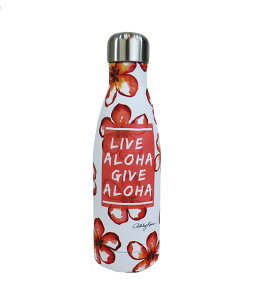 ハワイ ステンレス ボトルの人気商品 通販 価格比較 価格 Com