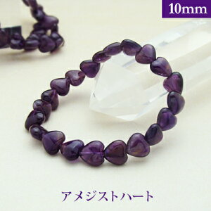 AWXg n[g p[Xg[ uXbg y10mmz ۋʁ@VR yTCYS/M/Lz Y/fB[X/yA A o@r[Y  p[cƂĂ