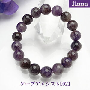 P[v AWXg 02 p[Xg[ uXbg y11mmz ۋʁ@VR yTCYS/M/Lz Y/fB[X/yA A o@r[Y  p[cƂĂ