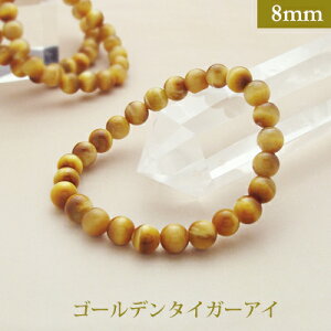 S[f ^CK[AC p[Xg[ uXbg y8mmz ۋʁ@VR yTCYS/M/Lz Y/fB[X/yA A o@r[Y  p[cƂĂ