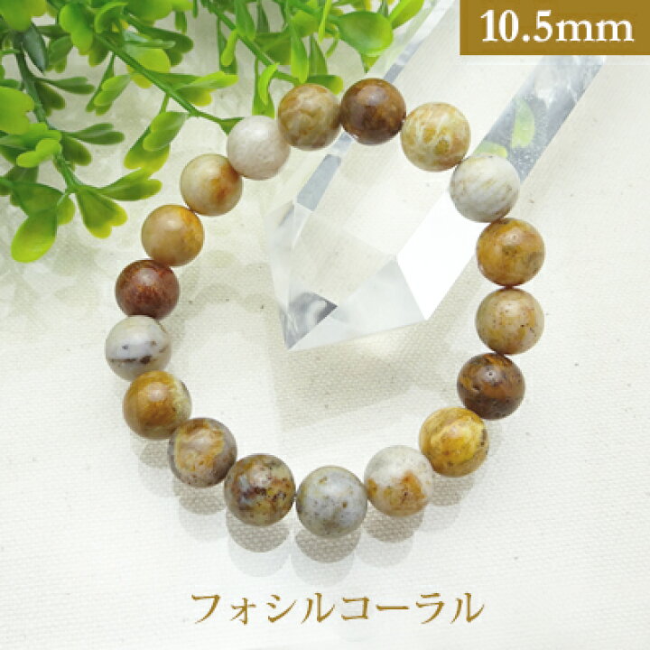 楽天市場】フォシルコーラル パワーストーン ブレスレット 【10.5mm 
