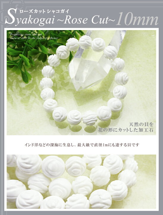 パワーストーン 加工石 ローズカットシャコガイブレスレット(10mm)ブレスレットサイズ S/M/L【メール便 選択可能】加工石パワーストーンビーズ 連 粒パーツにも最適 ホロンショップ シャコガイ パワーストーン ブレスレット 丸玉 天然石 メンズ レディース ペア 連 バラ ビーズ 粒 パーツとしても