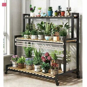 777~OFFN[| t[X^h t[X^h O 2i  40cm ^Cv CguY Xy[XɂđIׂ g t[X^h 2i holosbird-goods1