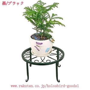 ACALrԑ 3_Zbg ԑ ACA G K[fjO AeB[N t[X^h Lr 킢 v^[bN K[fjO u ACAt[X^h v holosb