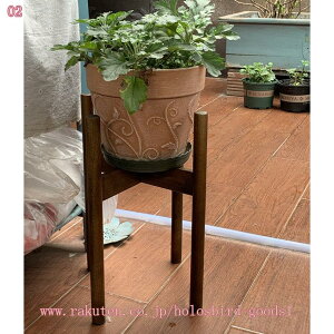 |bgX^hNX Aؔ K[fG   ACAX^h X`[ CeA t[X^h X^h ؐ Ƒ O  K[fjO holosbird-goods1