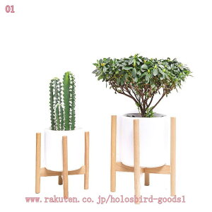 1000~OFFN[| t[X^h X^h rt 28cm 21cm 15CM ؐ WOX^h ԑ Aؑ ԃ|bgz_  O ԑ v^[X^h u holosbird-goods1