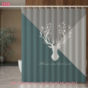 500~OFFN[| V[J[e hhJrH J[eOt XNGA V[[pJ[e J[e PEVArj[ VvȃXNGA oX[ oX^u 