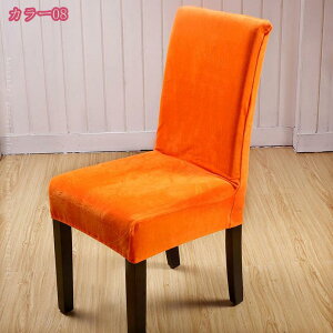 1000~OFFN[| 6Zbg `FAJo[ ItBXp w ֎qJo[ ItBX`FA _CjO`FAJo[ Lт CXJo[ Lkf Jo[ _CjO tJo[  S