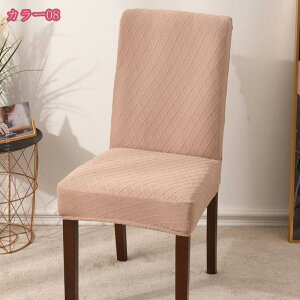 300~OFFN[| ֎qJo[ 2/4 `FAJo[ hLkf ϋv􂦂 SS O _CjOCXJo[ tJo[ tBbg^Cv IAcAjAƑ̃_