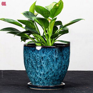 Aؔ 픫 v^[ ~͔ 󂯎Mt t ϗtA   A CeA  ItBX   AȂ k   ^ ꌊ ~jA T{e 