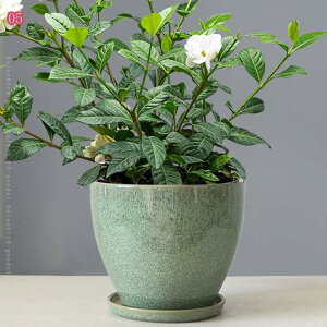 ~͖ Aؔ 픫 ~͔ R쑐 T{e ~`  A   ϗtA Aؔ g}g ͔| A   | ϗp 󂯎Mt k  ʋC  ~jA