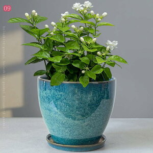 Aؔ 픫 v^[ ~͔ 󂯎Mt t ϗtA   A CeA  ItBX   AȂ k   ^ ꌊ ~jA T{e 