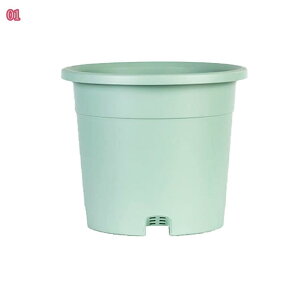 pv^[ Aؔ  y ^  v^[ ؉v^[ [^v^[ ؃v^[  v^[ ʋC rǂ QN\h h~ |pi 萫 holosbird-