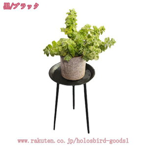 t[X^h u oRj[  ԑ TChe[u R[q[F  O ԑ ~̓X^h AX^h [I CeA lp K[fbN w/O AI e[