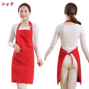 777~OFFN[| Gv ߉\ Lb`Gv H^ ۈm JtFGv   傫TCY |Pbgt |Gv Vv JtFGv HX ƒp i`