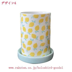  X^h bN  Lb`c[X^h ؂ȃXy[X EXv[EtH[N[ Lb`H[ 䏊[ 킢 e Jg[[    