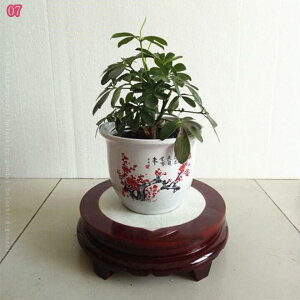 1000~OFFN[| X^hłƂ t[X^h K[fjO X^h ԑ ؐ K[fG K[ft@j`[  oRj[  | CeA x_ 