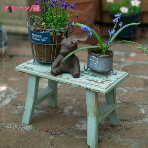 1000~OFFN[| t[X^h K[fjO X^h ԑ ؐ K[fG K[ft@j`[  oRj[  ؐt[X^h nC ؐԑXc[ holosbird-goods1