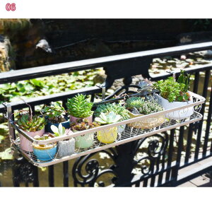 x_ v^[ ԑ vgz_[  ݂艺 Aؔ | v^[I AؔX^ tbNt̓S h [v^[oXPbg ƒ؉ ϗtA t[