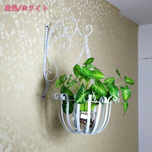 300~OFFN[| nLOoXPbg A ݂ A  v^[ zCg Ԗڕ ݂蔫 ϗtA  Ԕ O  Ȗ͗l a holosbird-goods1