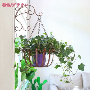 300~OFFN[| nLOoXPbg A ݂ A  v^[ zCg Ԗڕ ݂蔫 ϗtA  Ԕ O  Ȗ͗l a holosbird-goods1