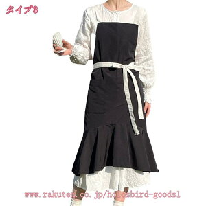 Gv Gv h  tt s[X^ |Pbgt n H ƒp JtFp ۈmp ɂȂɂ Ɩp JtF iX  Mtg ̓ 