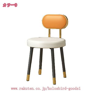 ドレッサーチェア 化粧椅子イス 鏡台用 北欧 モダンダイニングチェアコーヒー時用 家庭用レジャー 装飾ホーム 金属製 背もたれ椅 鏡台 北欧風 シンプル 化粧台 お姫系 椅子 収納 サロン 美