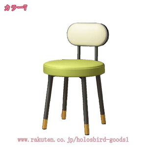 ドレッサーチェア 化粧椅子イス 鏡台用 北欧 モダンダイニングチェアコーヒー時用 家庭用レジャー 装飾ホーム 金属製 背もたれ椅 鏡台 北欧風 シンプル 化粧台 お姫系 椅子 収納 サロン 美