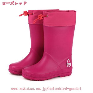 CV[Y LbY WjA Cu[c ϐ y h h j̎q ̎q qC V[gu[c C u[c IV JCC ₷ qp j  w c AE