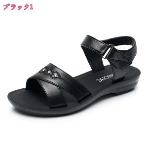 500~OFFN[| T_ 2.5cm q[  Ȃ ɂȂ  ₷ fB[X 傫TCY TCY y y EFbW\[ t   s S xg EFb