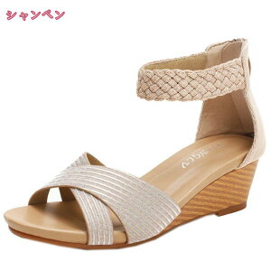 500~OFFN[| T_ fB[X ₷  ZNV[ RtH[g {w~A JWA T_ EFbW\[ 傫TCY }}V[Y OfBG[^[T