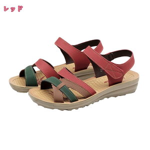 500~OFFN[| T_ fB[X EhgD  傫TCY TCY ₷ y ʋC RtH[g Xgbv Xg[ JWA Vv ɂ AEghA 