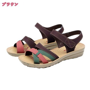 T_ fB[X EhgD  傫TCY TCY ₷ y ʋC RtH[g Xgbv Xg[ JWA Vv ɂ AEghA t   \[