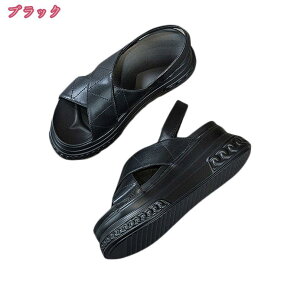 2000~OFFN[| T_  q[ OfBG[^[ T_ Xgbv EFbW\[ ₷ C fB[X s  ɂȂ ANXgbv I[vgD nCq