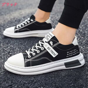 300~OFFN[| Xm[u[c Y [gu[c V[gu[c {A u[c y h  g JWA V[Y 傫TCY jC [Nu[c EB^[u[c ȌC 