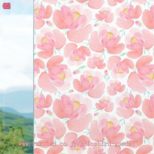 ptB ډBV[g ԕ p JX^}CY\ KX KXtB  ߂V[g fMՔMV[gډB Ódz œ\ \蒼\ rO  p ǎV