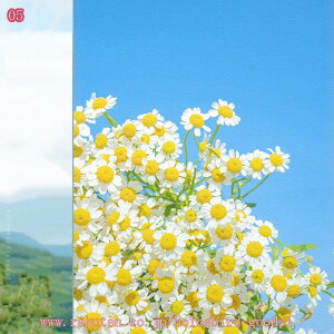 300~OFFN[| ptB ډBV[g ԕ p JX^}CY\ KX KXtB  ߂V[g fMՔMV[gډB Ódz œ\ \蒼\ r