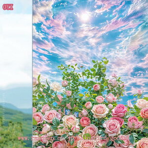 300~OFFN[| KXډBtB pՌ/fMV[g O UVJbg }WbN~[ vCoV[ی hƃtB Uh~ ΍ Cӕi KX ߂V[g 