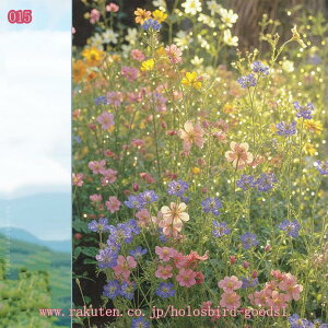 300~OFFN[| KXډBtB pՌ/fMV[g O UVJbg }WbN~[ vCoV[ی hƃtB Uh~ ΍ Cӕi KX ߂V[g 