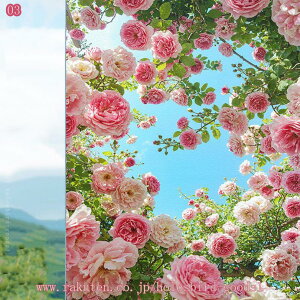 777~OFFN[| KXډBtB pՌ/fMV[g O UVJbg }WbN~[ vCoV[ی hƃtB Uh~ ΍ Cӕi KX ߂V[g 