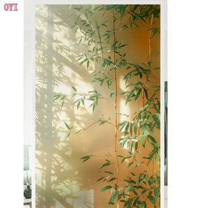 300~OFFN[| ǎ  ͂ V[ ptB Ȃ CNV[g h tH[V[g hJr JbeBOV[g ̂t hJr JbeBOV[g Ηt JtF