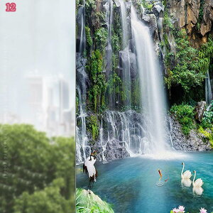 300~OFFN[| ΂̐XEH[XebJ[ ÂȐX [  ǉ ǎ|X^[ ΂̎Ő  ǎV[ ͂  k XebJ[ ptB KXtB 