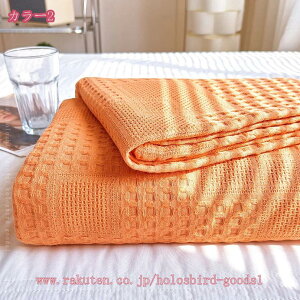 500~OFFN[| |zc ^IPbg  QPbg u₩ ɂ Jo[sv Rbg100 |Pbg y z ʋC Ԓ [΍ Bewi V \t@ I[V[Y