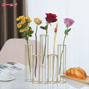 1000~OFFN[| ԕr  k S[h t[x[X KX ֑} 킢  CeA hCt[ Vv 􉽊wfUC ؍ WpfB  傫 